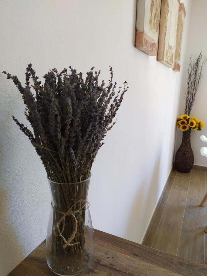 Apartamentos Xert Escapadas En Castellon Cerca De Morella Y Peniscola Chert Sant Mateu Εξωτερικό φωτογραφία